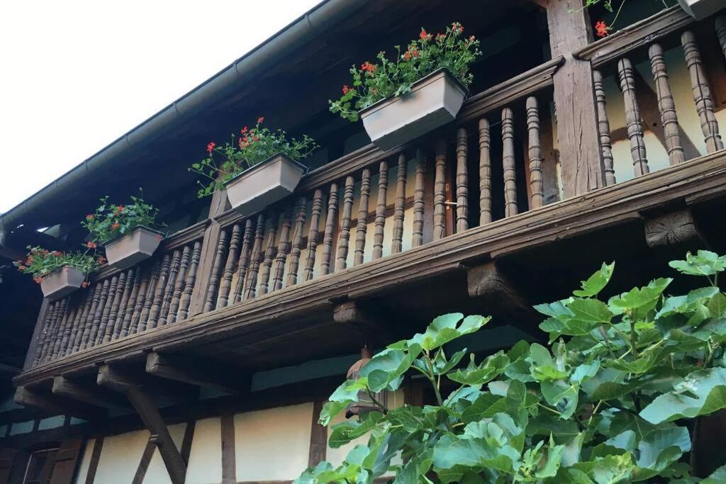 Apartment Alsacien Eckwersheim